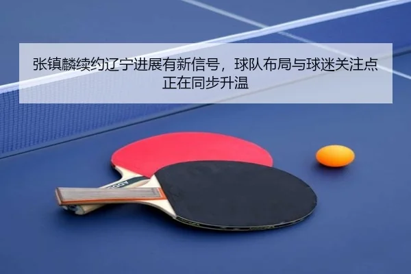 张镇麟续约辽宁进展有新信号，球队布局与球迷关注点正在同步升温（kaiyun）